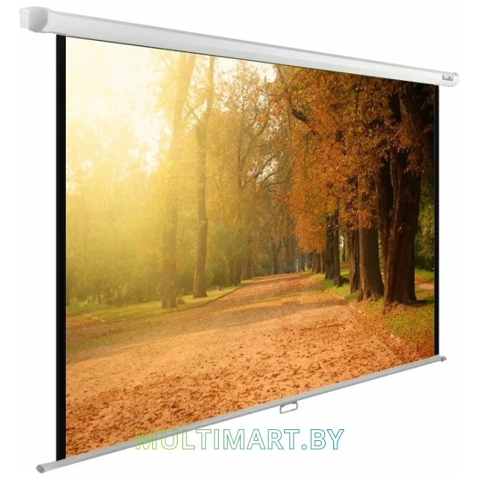 Проекционный экран CACTUS WallExpert 200x125 (CS-PSWE-200x125-WT)